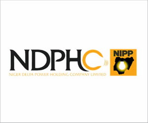 Logo of Niger Delta Power Holding Company Limited on a white background